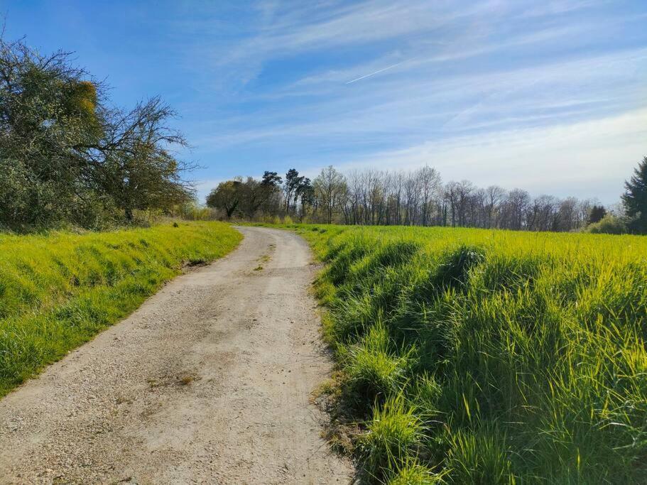*Gite Aux Grappes Du Pressoir* A 2 Km De Beauval Seigy Εξωτερικό φωτογραφία